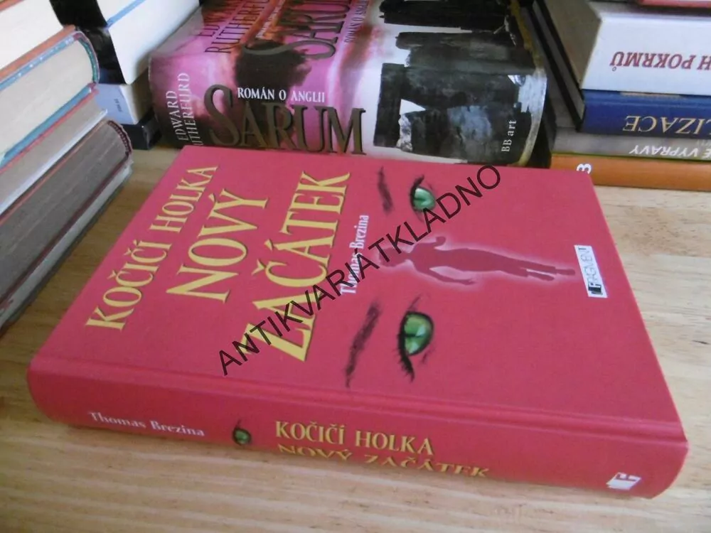 KOČIČÍ HOLKA, NOVÝ ZAČÁTEK, THOMAS BREZINA, **an