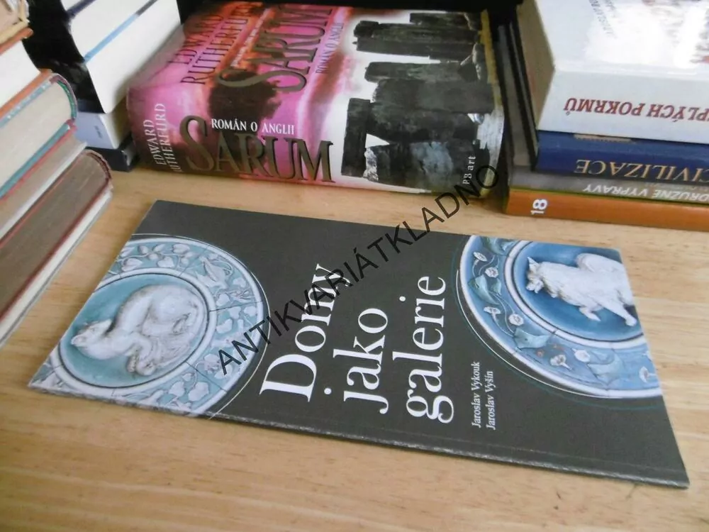 DOMY JAKO GALERIE, JAROSLAV VYKOUK, JAROSLAV VYŠÍN, **an