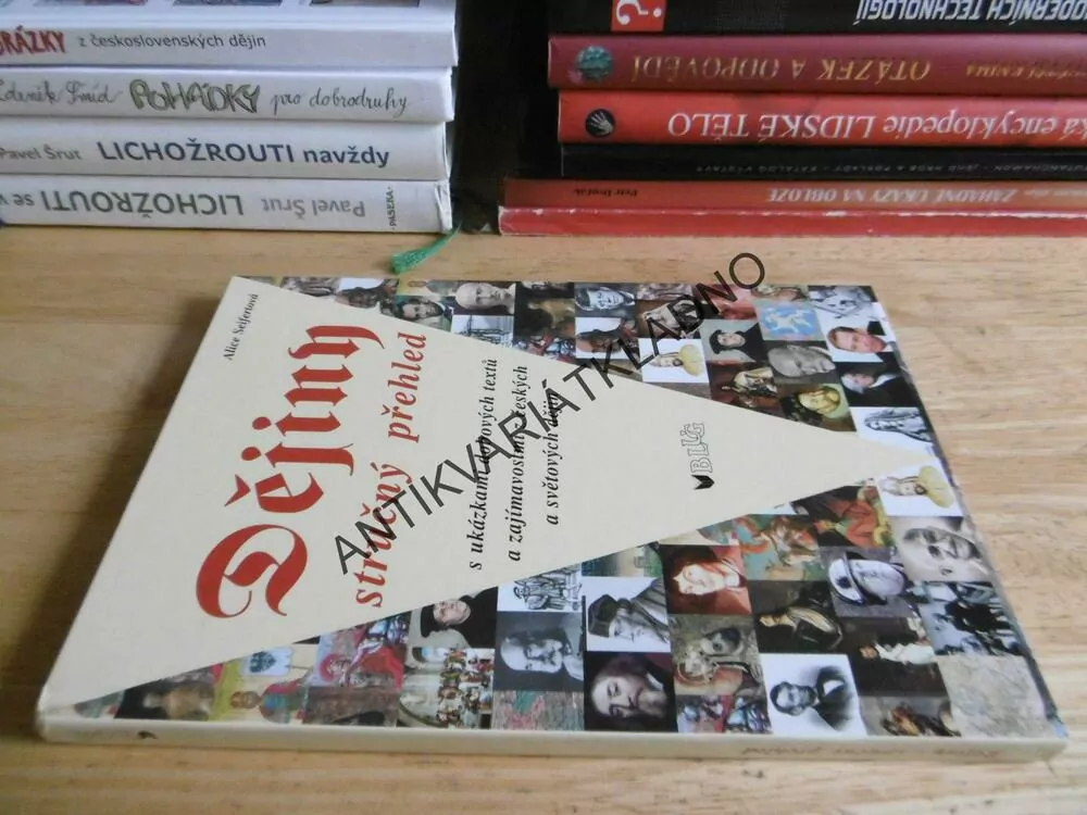 DĚJINY STRUČNÝ PŘEHLED, ALICE SEIFERTOVÁ, **an