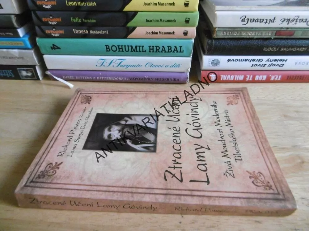 ZTRACENÉ UČENÍ LAMY GÓVINDY, ŽIVÁ MOUDROST MODERNÍHO TIBETSKÉHO MISTRA, RICHARD POWER