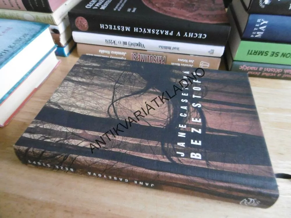 BEZE STOPY, JANE CASEYOVÁ, **an