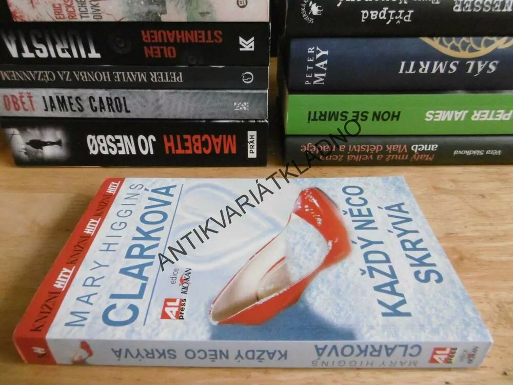 KAŽDÝ NĚCO SKRÝVÁ, MARY HIGGINS CLARKOVÁ, **an