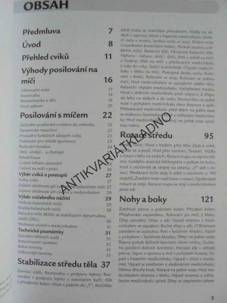 POSILOVÁNÍ NA MÍČI, + DVD 85 MIN CVIČENÍ, SPORT
