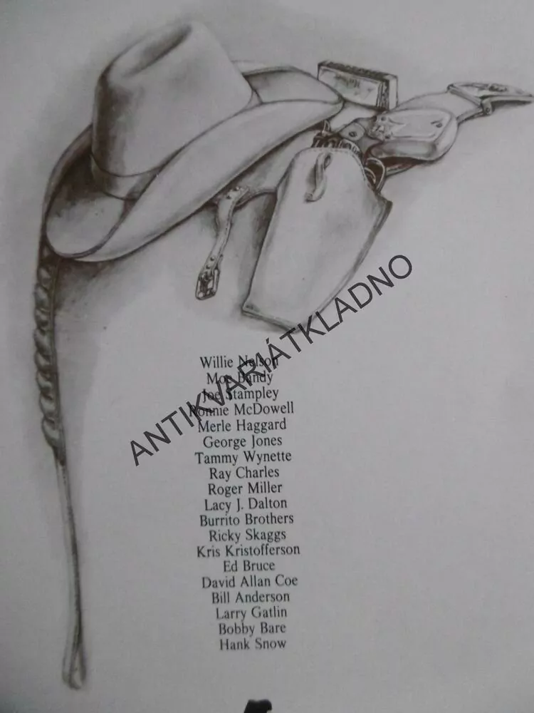 DVORANA SLÁVY, 4., COUNTRY, 2 X LP, WILLIW NELSON, RAY CHARLES, DALTON, SNOW, AJ,.