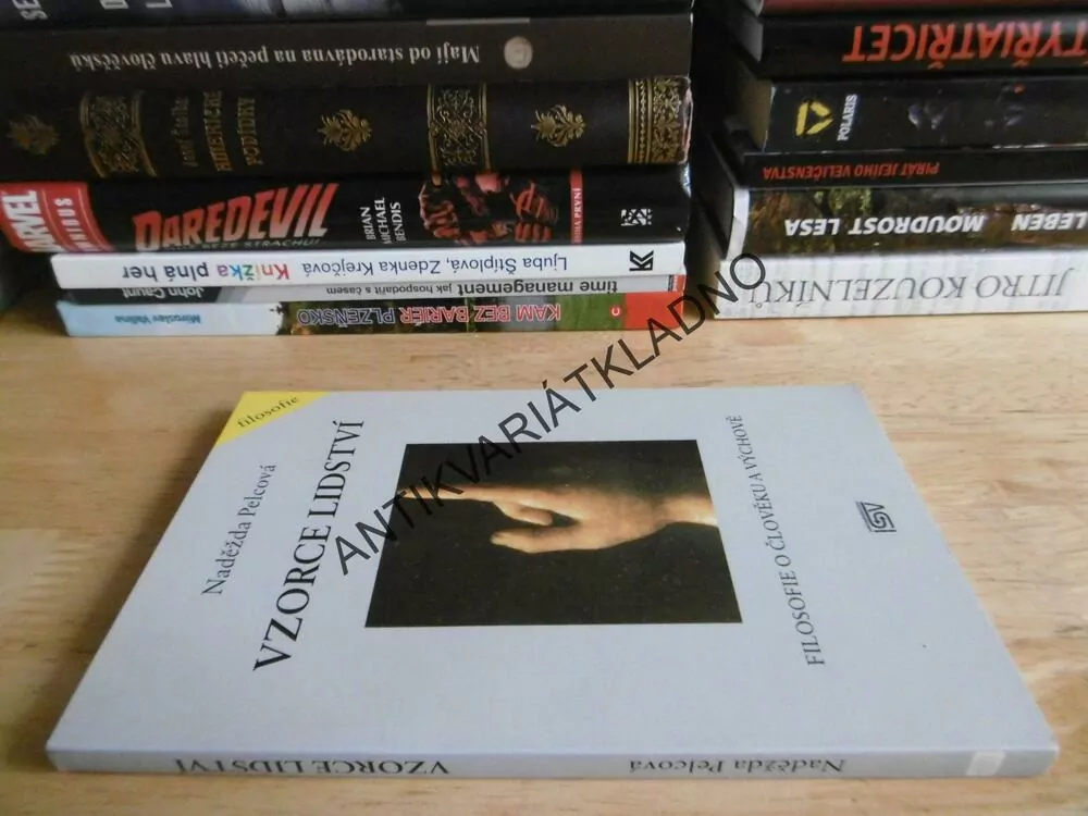 VZORCE LIDSTVÍ, NADĚŽDA PELCOVÁ, FILOSOFIE O ČLOVĚKU A VÝCHOVĚ