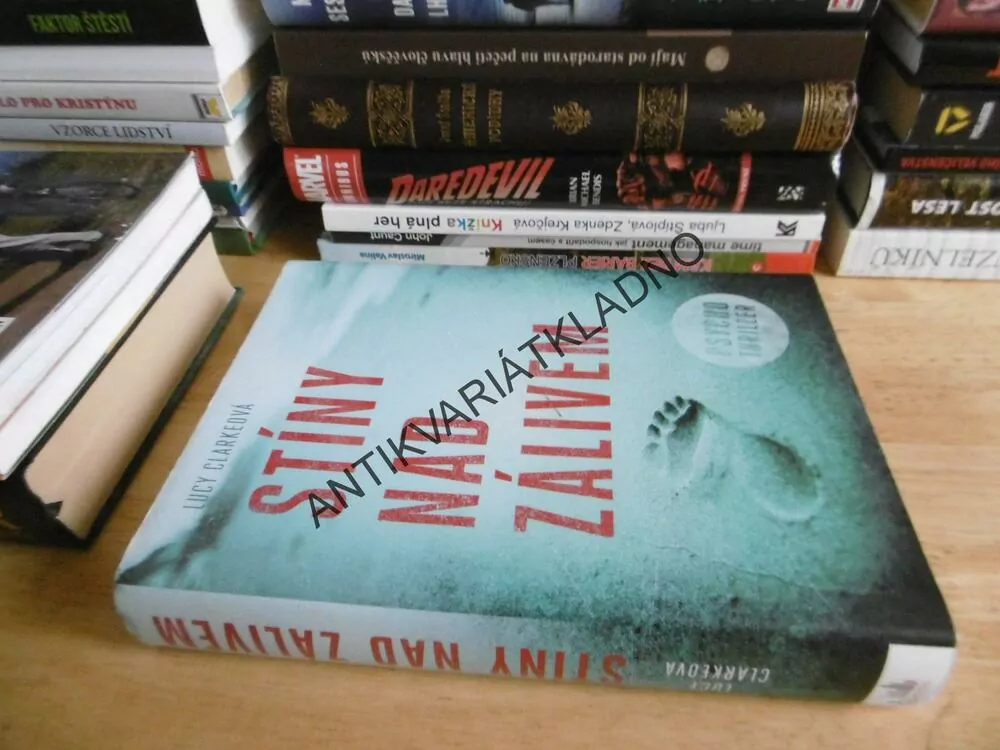 STÍNY NAD ZÁLIVEM, LUCY CLARKEOVÁ, PSYCHOTHRILLER, 