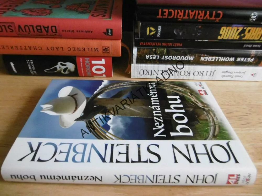 NEZNÁMÉMU BOHU, JOHN STEINBECK, **an