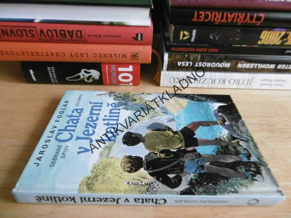 CHATA V JEZERNÍ KOTLINĚ, JAROSLAV FOGLAR, **an