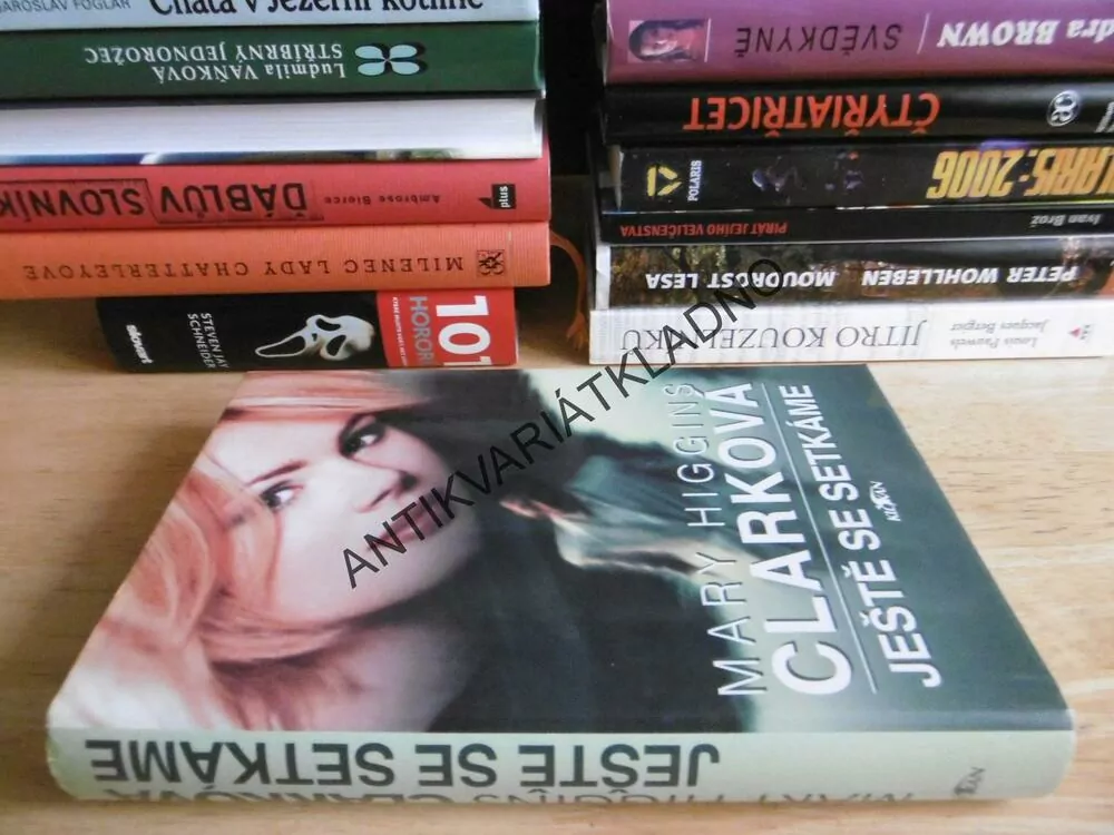 JEŠTĚ SE SETKÁME, MARY HIGGINS CLARKOVÁ, **an