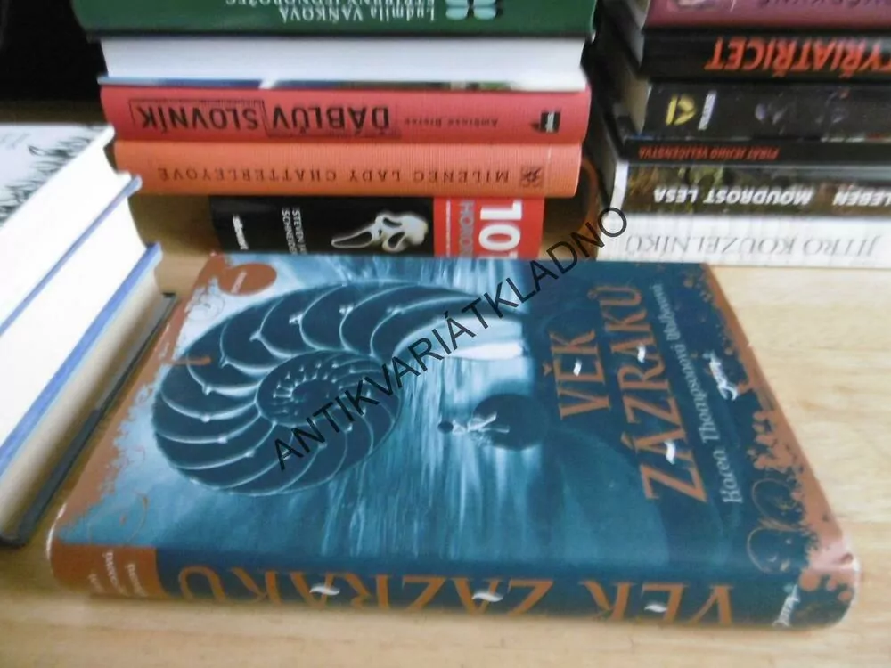 VĚK ZÁZRAKŮ, KAREN THOMPSONOVÁ WALKEROVÁ, **an