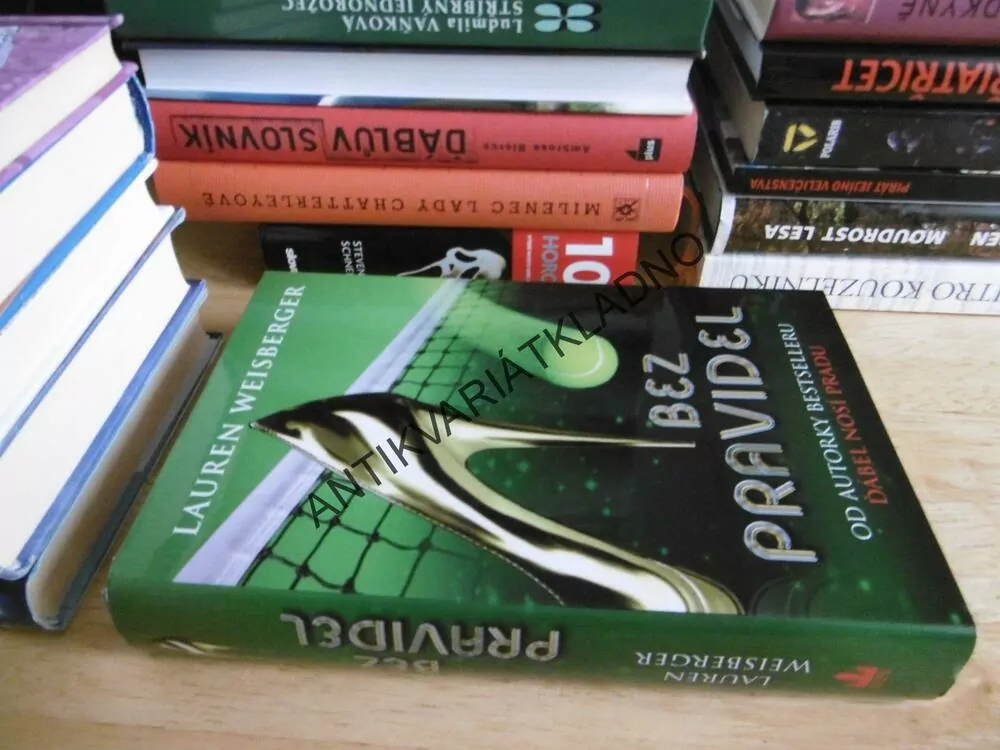 BEZ PRAVIDEL, LAUREN WEISBERGEROVÁ, **an