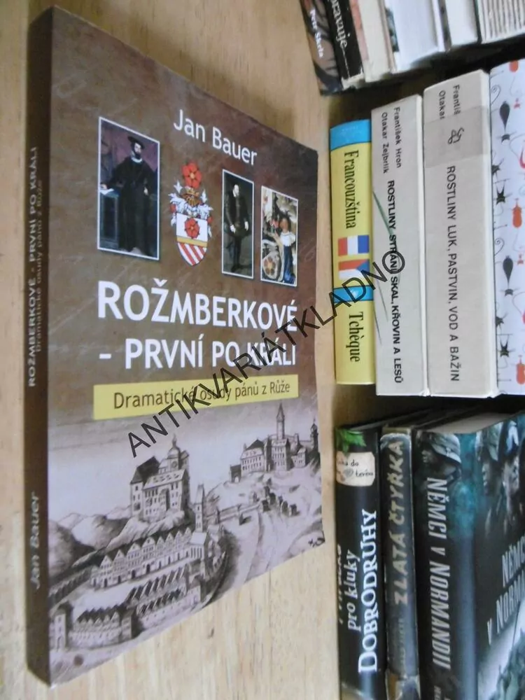 ROŽMBERKOVÉ - PRVNÍ PO KRÁLI, JAN BAUER, **an