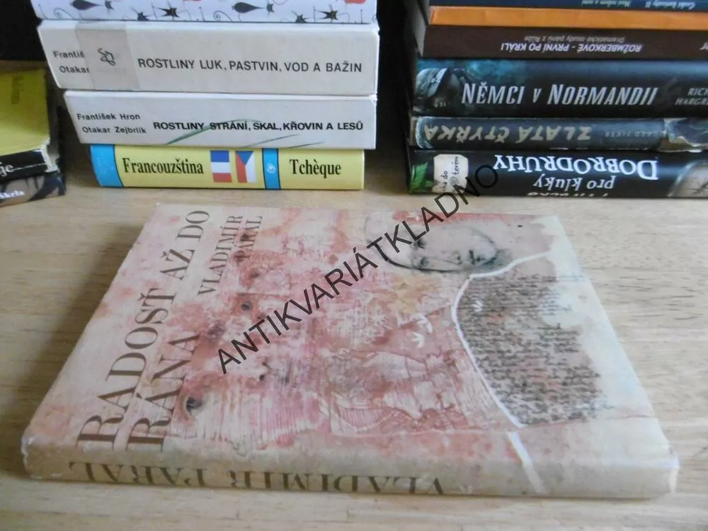 RADOSŤ AŽ DO RÁNA, VLADIMÍR PÁRAL, SLOVENSKY, **an