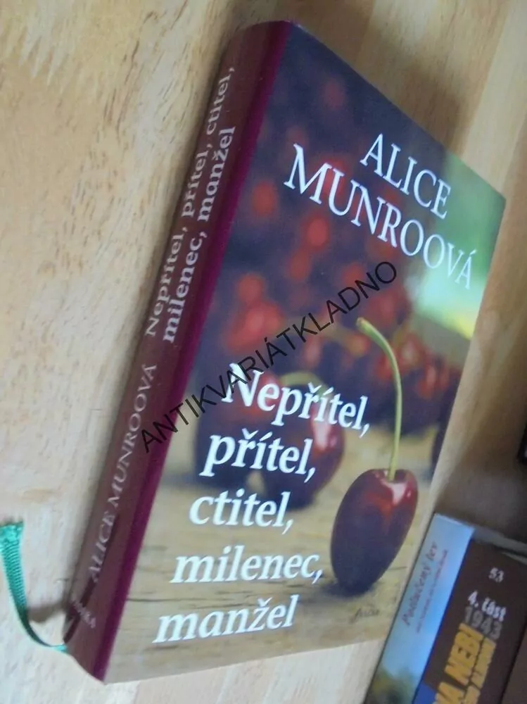 NEPŘÍTEL,PŘÍTEL,CTITEL,MILENEC,MANŽEL,MUNROOVÁ, **an