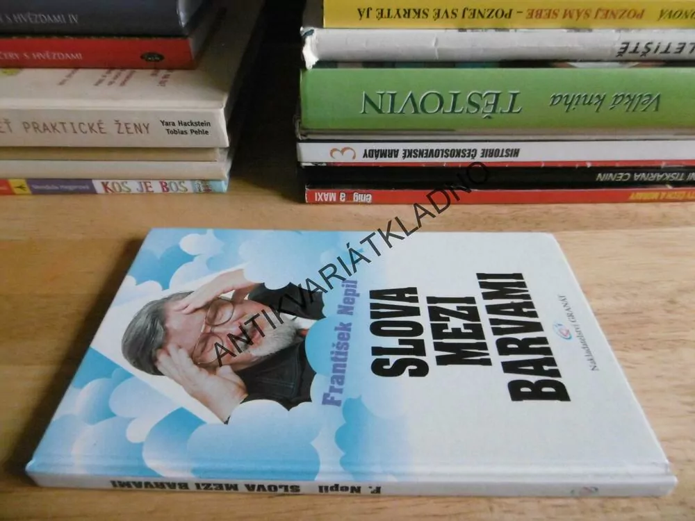 SLOVA MEZI BARVAMI, FRANTIŠEK NEPIL, **an