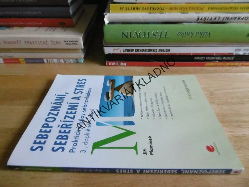 SEBEPOZNÁNÍ, SEBEŘÍZENÍ A STRES, PRAKTICKÝ ATLAS SEBEZVLÁDÁNÍ, JIŘÍ PLAMÍNEK