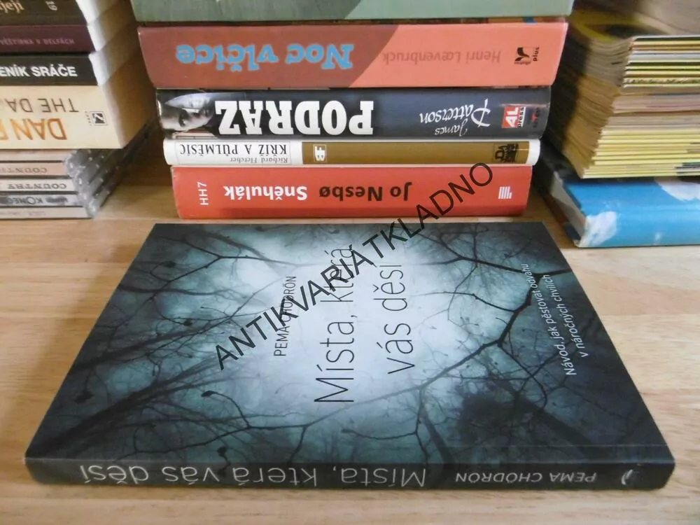 MÍSTA, KTERÁ VÁS DĚSÍ, PEMA CHÖDRÖN, **an