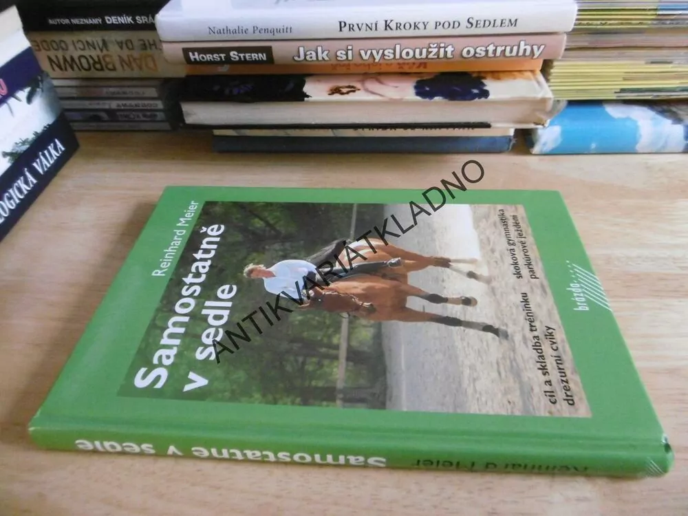 SAMOSTATNĚ V SEDLE, REIHARD MEIER