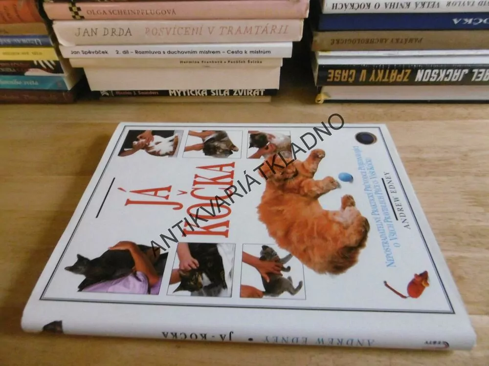 JÁ KOČKA, KOČKY, PRŮVODCE O PRAVIDLECH PÉČE O VAŠI KOČKU, ANDREW EDNEY