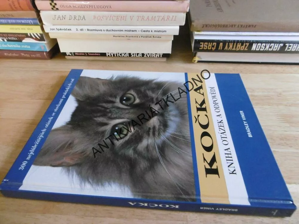 KOČKA, KNIHA OTÁZEK A ODPOVĚDÍ, BRADLEY VINER