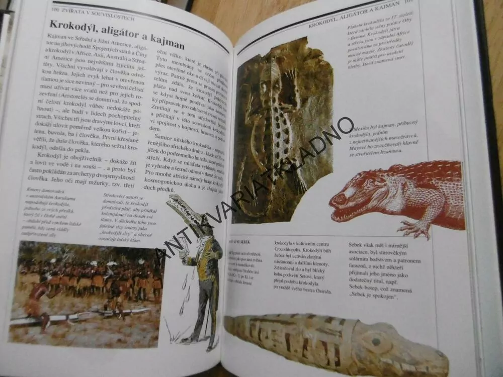 MYTICKÁ SÍLA ZVÍŘAT, NICOLAS J. SAUNDERS, MAGIE, TRADICE, SOUČASNOST, **an