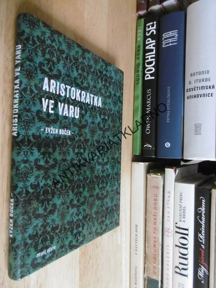 ARISTOKRATKA VE VARU, EVŽEN BOČEK, **an