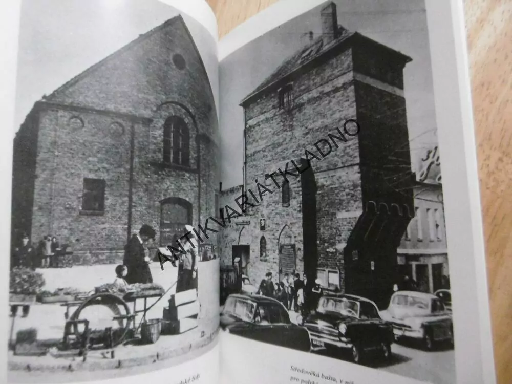 VRAŽDA V KOCIEWSKÉM LESE, STANISLAW GOSZCZURNY, **an