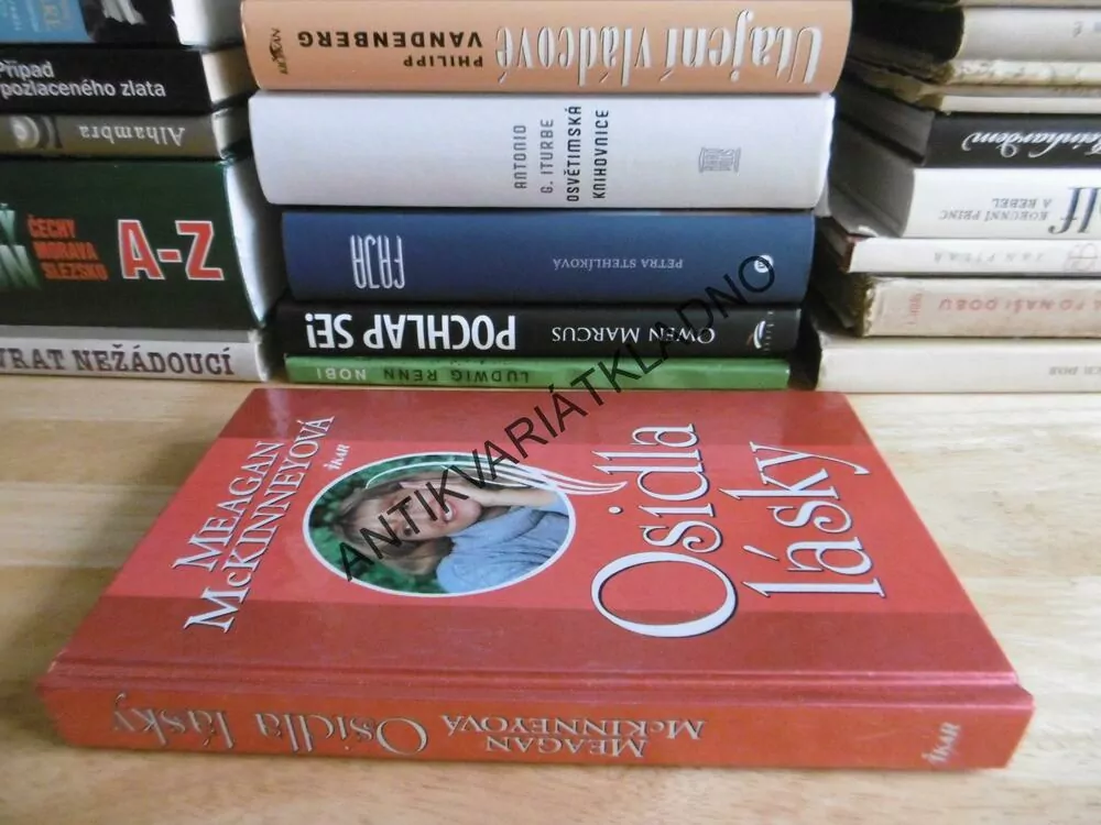OSIDLA LÁSKY, MEAGAN MCKINNEYOVÁ, **an