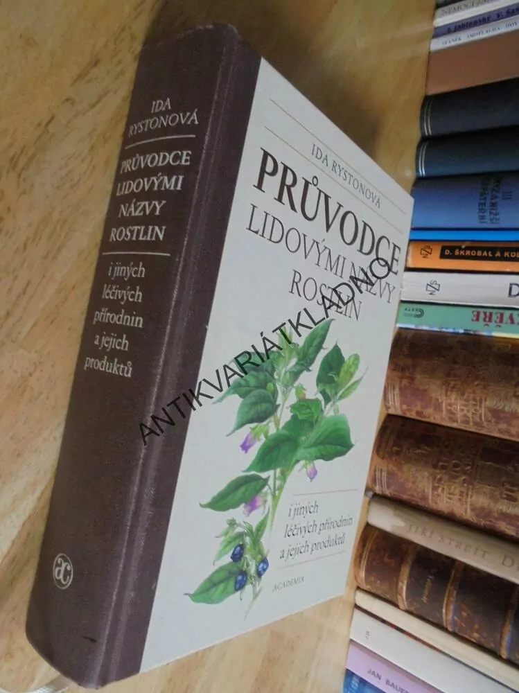 PRŮVODCE LIDOVÝMI NÁZVY ROSTLIN,BYLINKY,LÉČITELSTVÍ, RYSTONOVÁ, **an