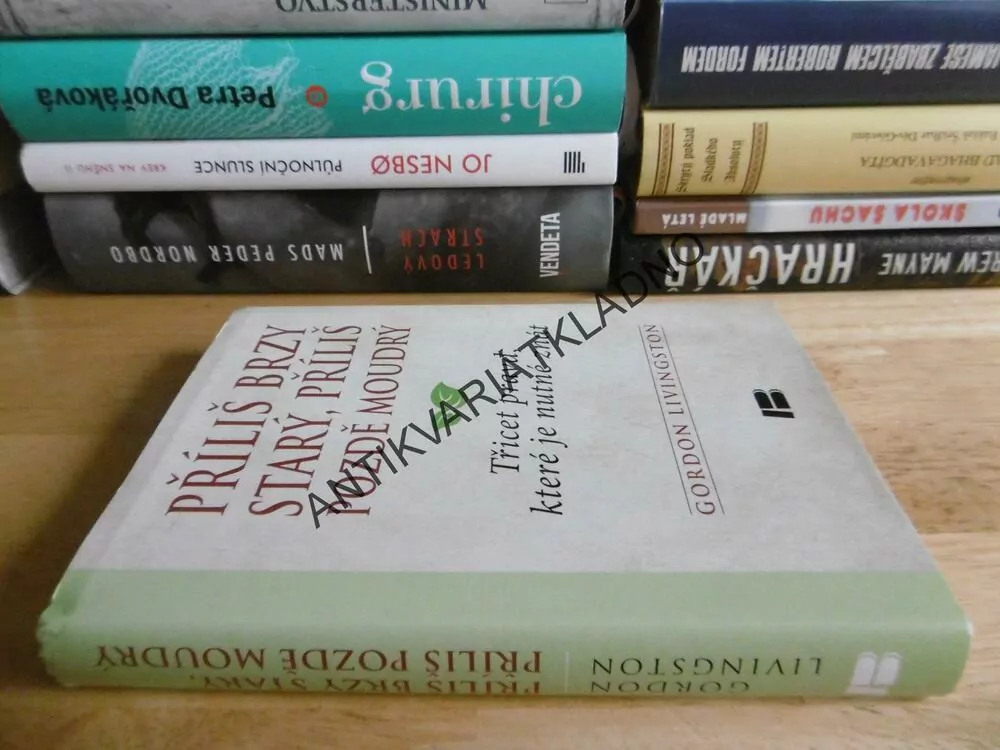 PŘÍLIŠ BRZY STARÝ, PŘÍLIŠ POZDĚ MOUDRÝ, TŘICET PRAVD, KTERÉ JE NUTNÉ ZNÁT, GORDON LIVINGSTON