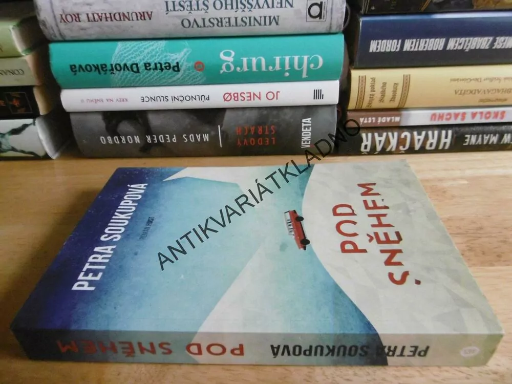 POD SNĚHEM, PETRA SOUKUPOVÁ, **an