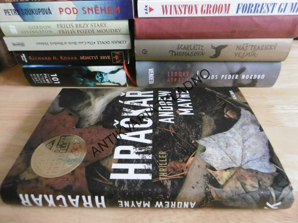 HRAČKÁŘ, ANDREW MAYNE, **an