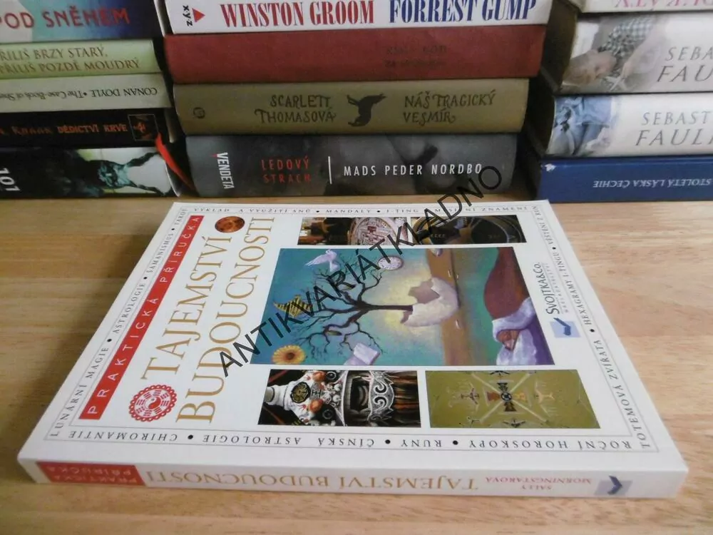 TAJEMSTVÍ BUDOUCNOSTI, PRAKTICKÁ PŘÍRUČKA, HEXAGRAMY, VĚŠTĚNÍ, MANDALY, ASTGROLOGIE, TAROT, AJ.