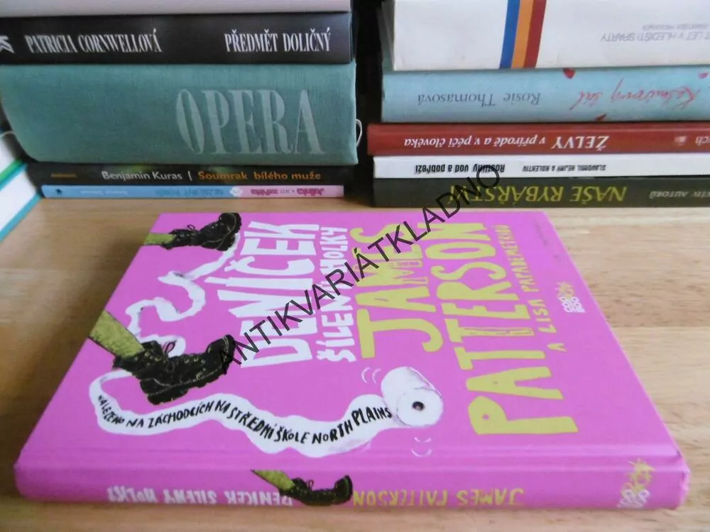 DENÍČEK ŠÍLENÝ HOLKY, JAMES PATTERSON, **an
