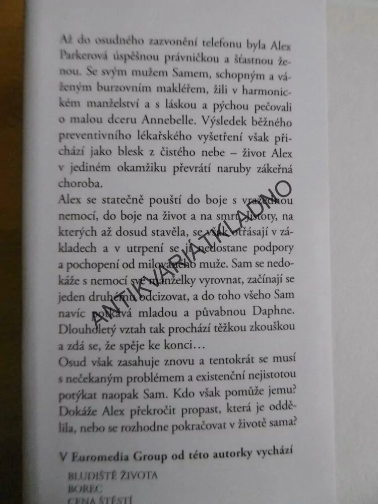 ZÁSAH OSUDU, DANIELLE STEEL, **an