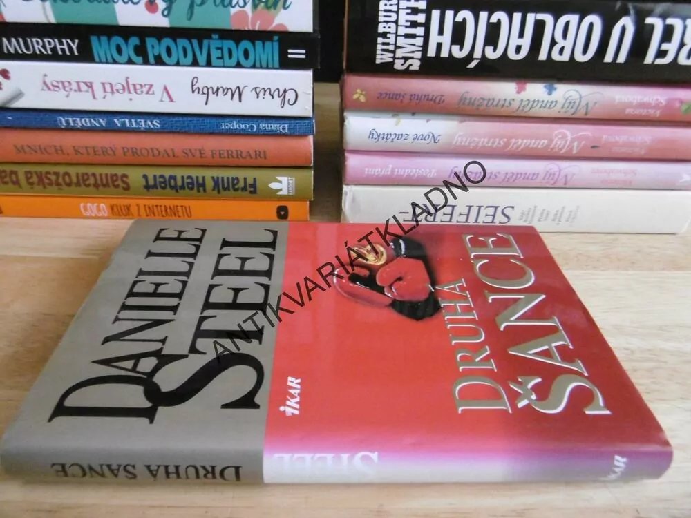DRUHÁ ŠANCE, DANIELLE STEEL, **an