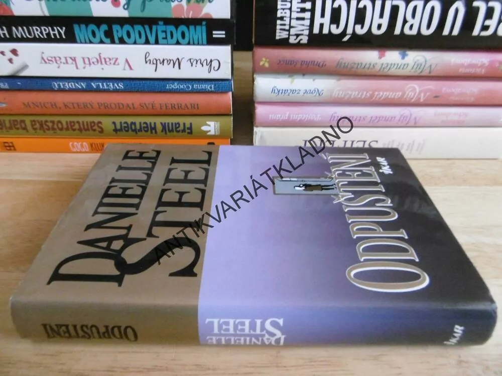 ODPUŠTĚNÍ, DANIELLE STEEL, **an