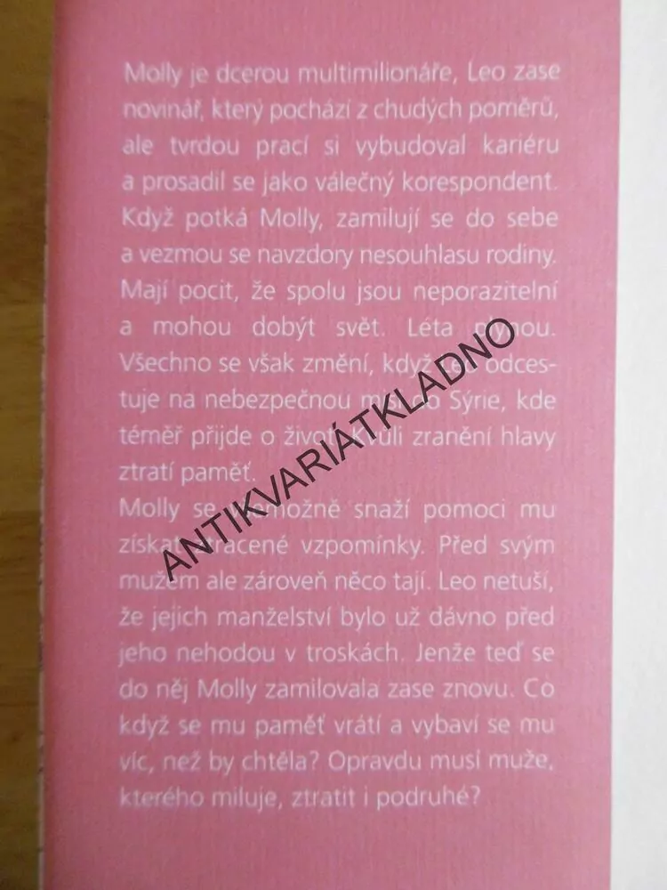 KDYŽ JSME TĚ ZTRATILA, KELLY RIMMEROVÁ
