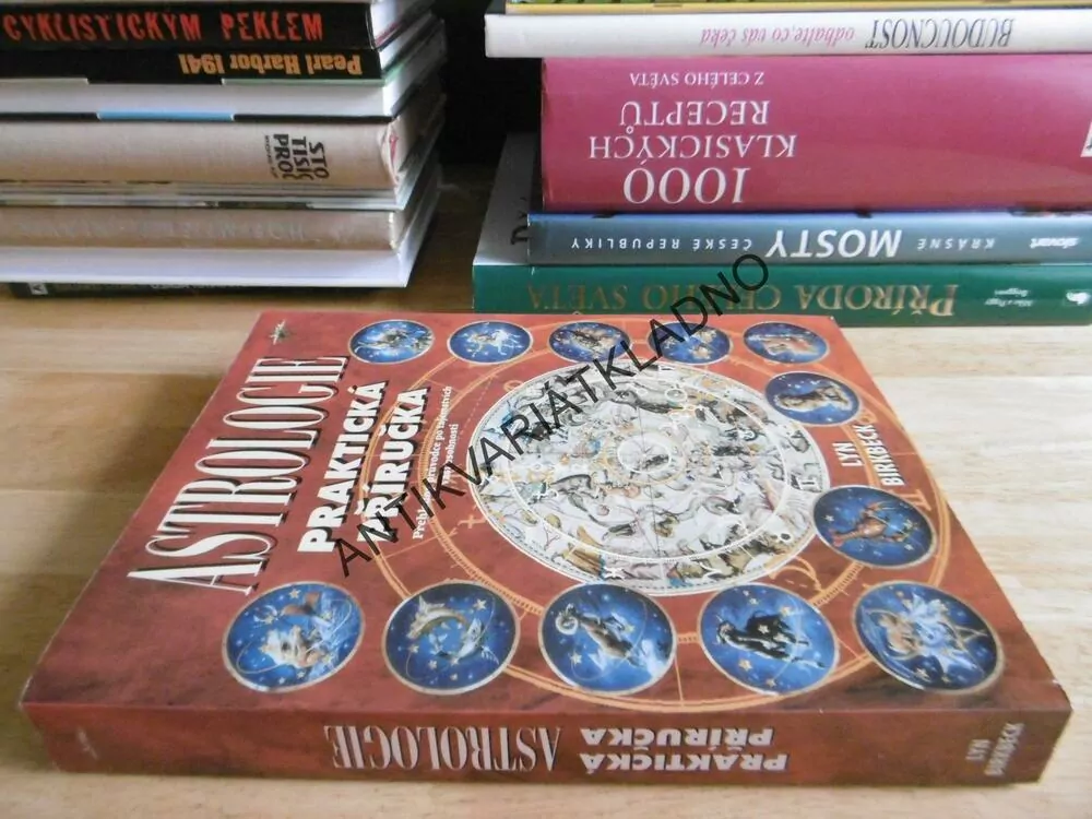 ASTROLOGIE , PRAKTICKÁ PŘÍRUČKA, LYN BIRKBECK, HOROSKOP, BUDOUCNOST,