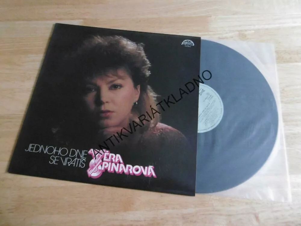 VĚRA ŠPINAROVÁ, JEDNOHO DNE SE VRÁTÍŠ