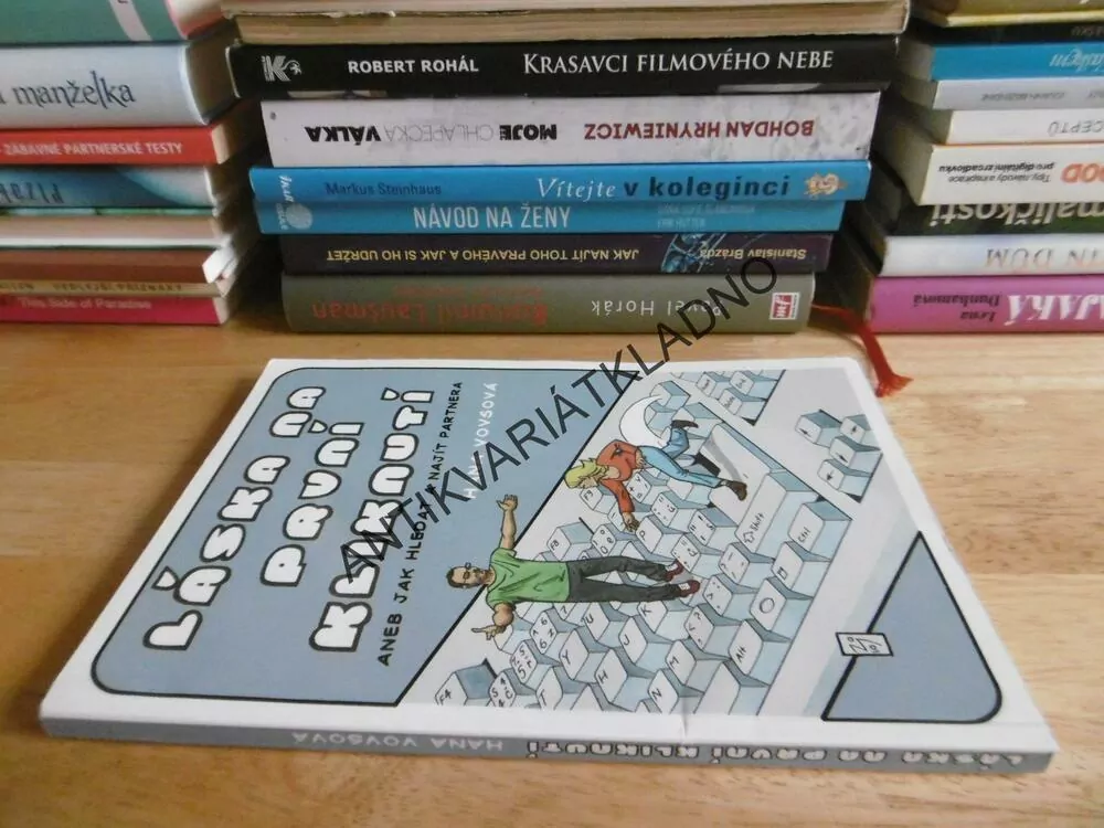 LÁSKA NA PRVNÍ KLIKNUTÍ ANEB JAK HLEDAT A NAJÍT PARTNERA, HANA VOVSOVÁ, **an