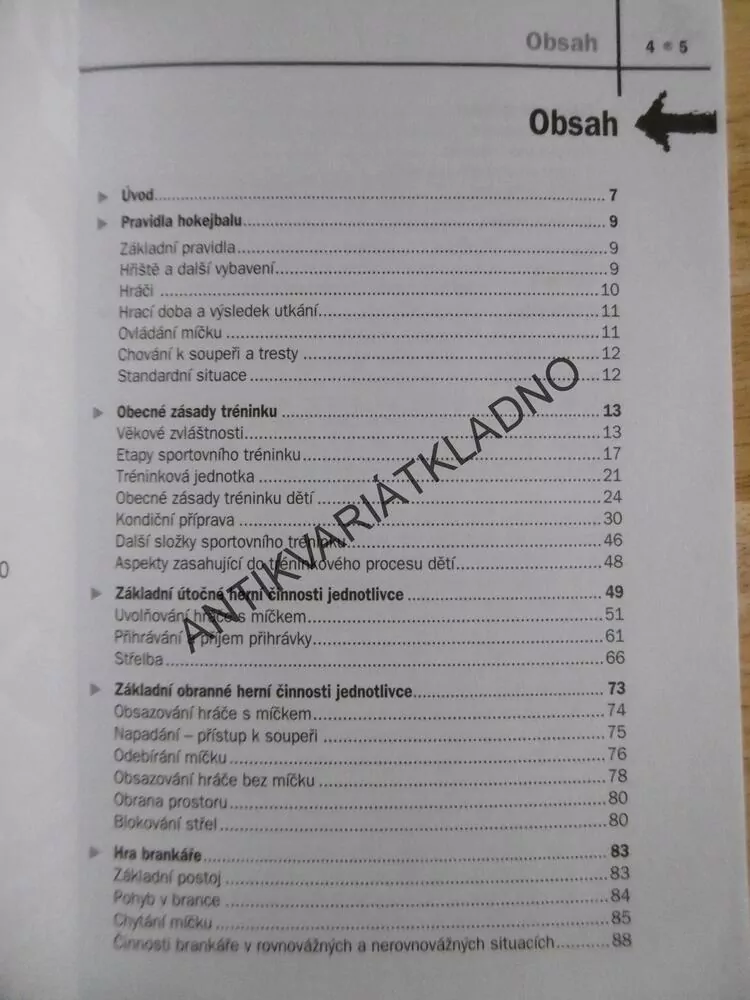 HOKEJBAL, PRŮVODCE TRÉNINKEM, PERIČ, PŘEROST, KADANĚ