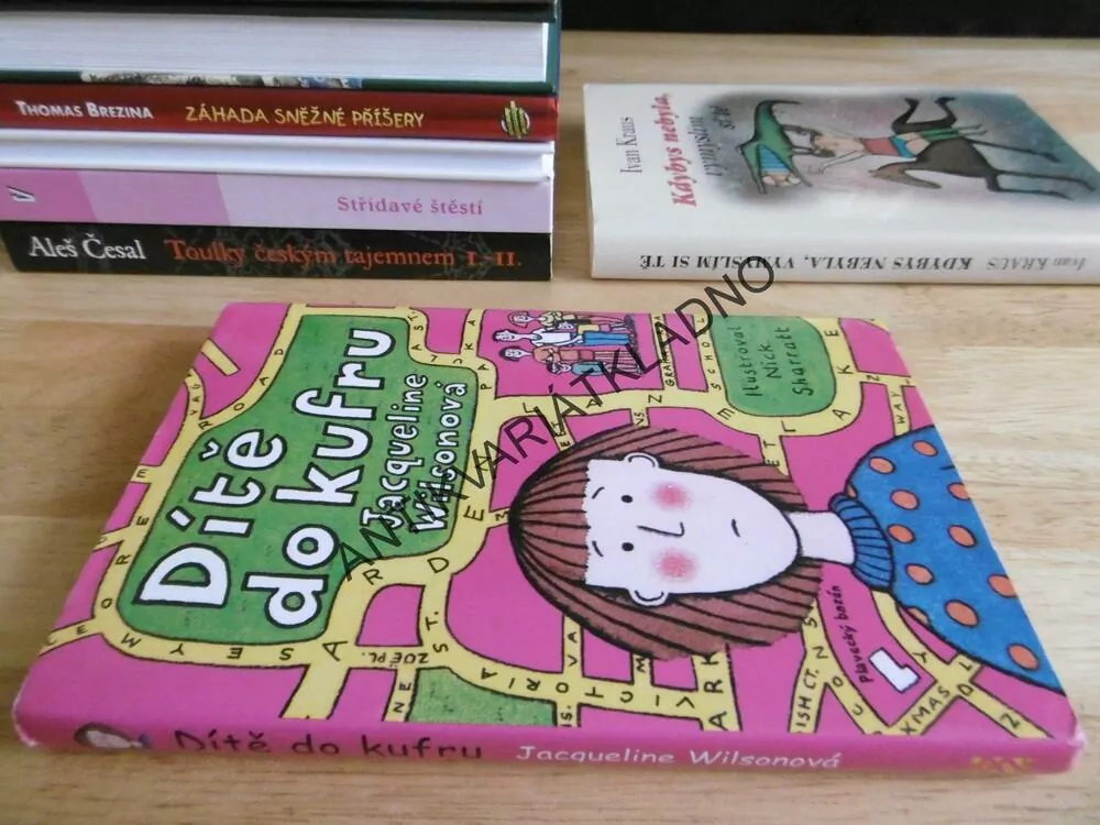 DÍTĚ DO KUFRU, JACQUELINE WILSONOVÁ