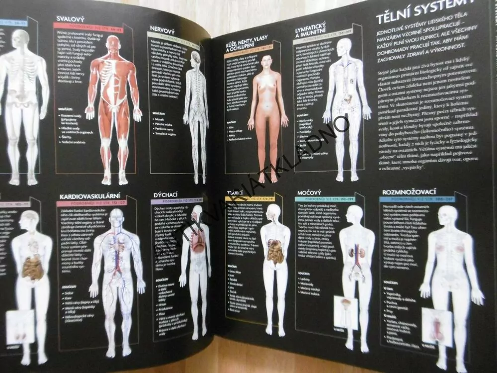 LIDSKÉ TĚLO, ILUSTROVANÝ PRŮVODCE JEHO STRUKTUROU, FUNGOVÁNÍM A PORUCHAMI, bez DVD, **an