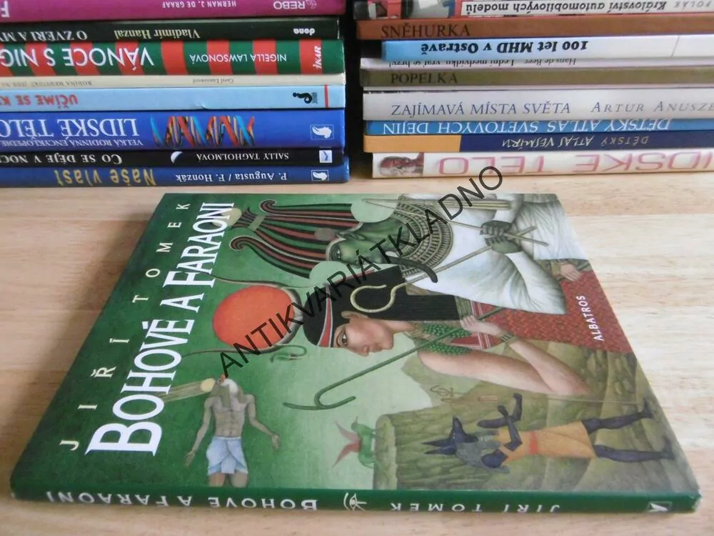 BOHOVÉ A FARAONI, JIŘÍ TOMEK, **an