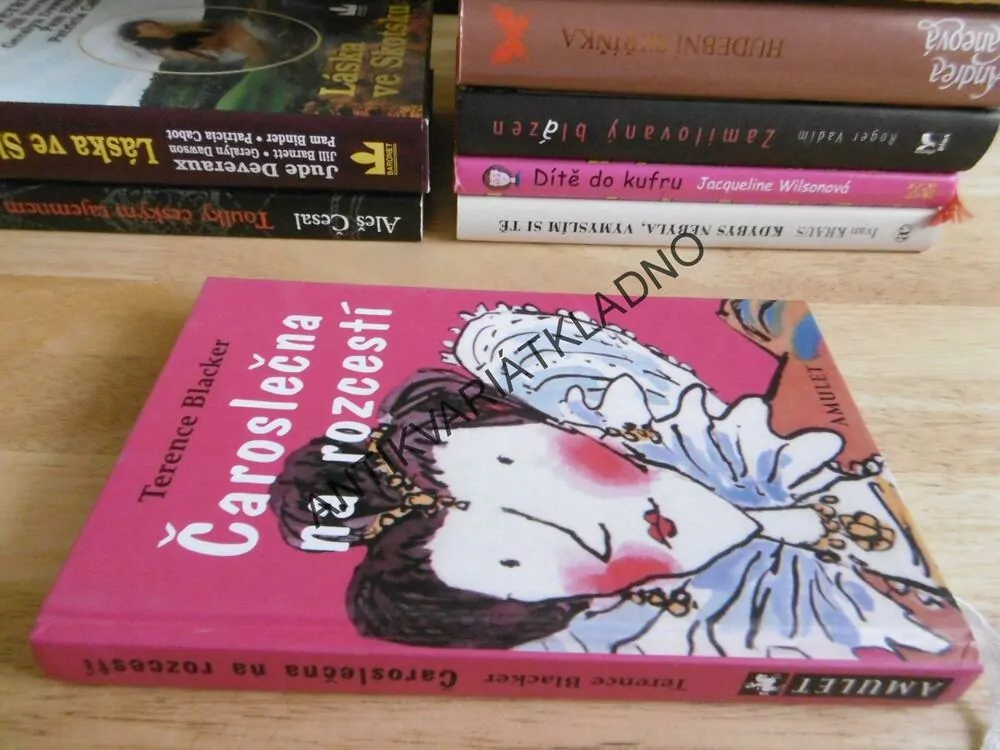 ČAROSLEČNA NA ROZCESTÍ, TERENCE BLACKER, **an