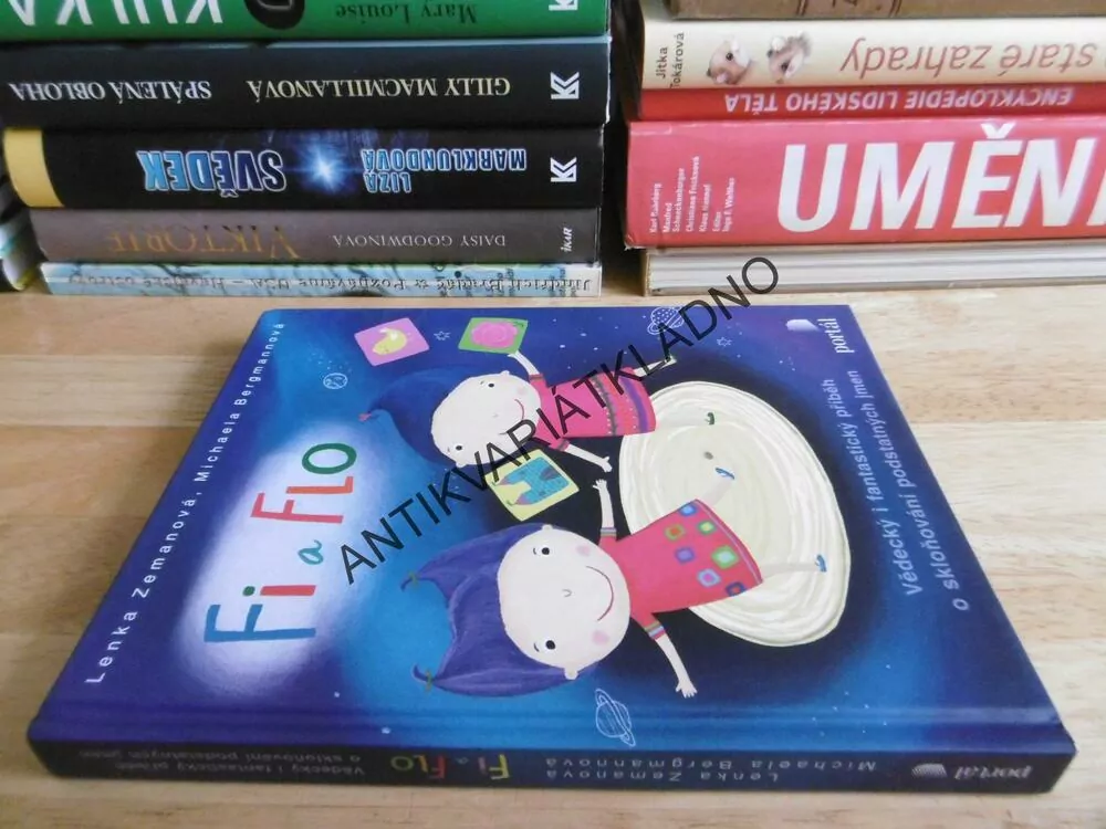 FI A FLO, ZEMANOVÁ, BERGMANNOVÁ, SCIFI PŘÍBĚH O SKLOŇOVÁNÍ PODSTATNÝCH JMEN
