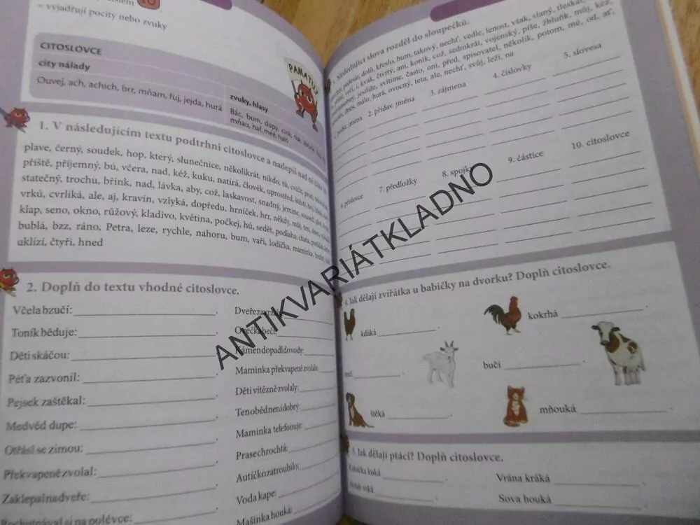 SLOVNÍ DRUHY S ČERTÍKEM KVÍTKEM, ROMANA SUCHÁ
