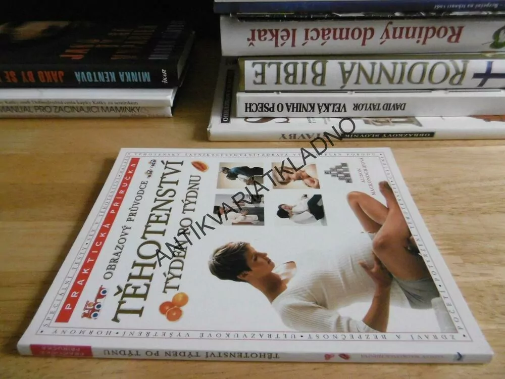 TĚHOTENSTVÍ, TÝDEN PO TÝDNU, PRAKTICKÁ PŘÍRUČKA, ALISON MACKONOCHIEOVÁ, **an