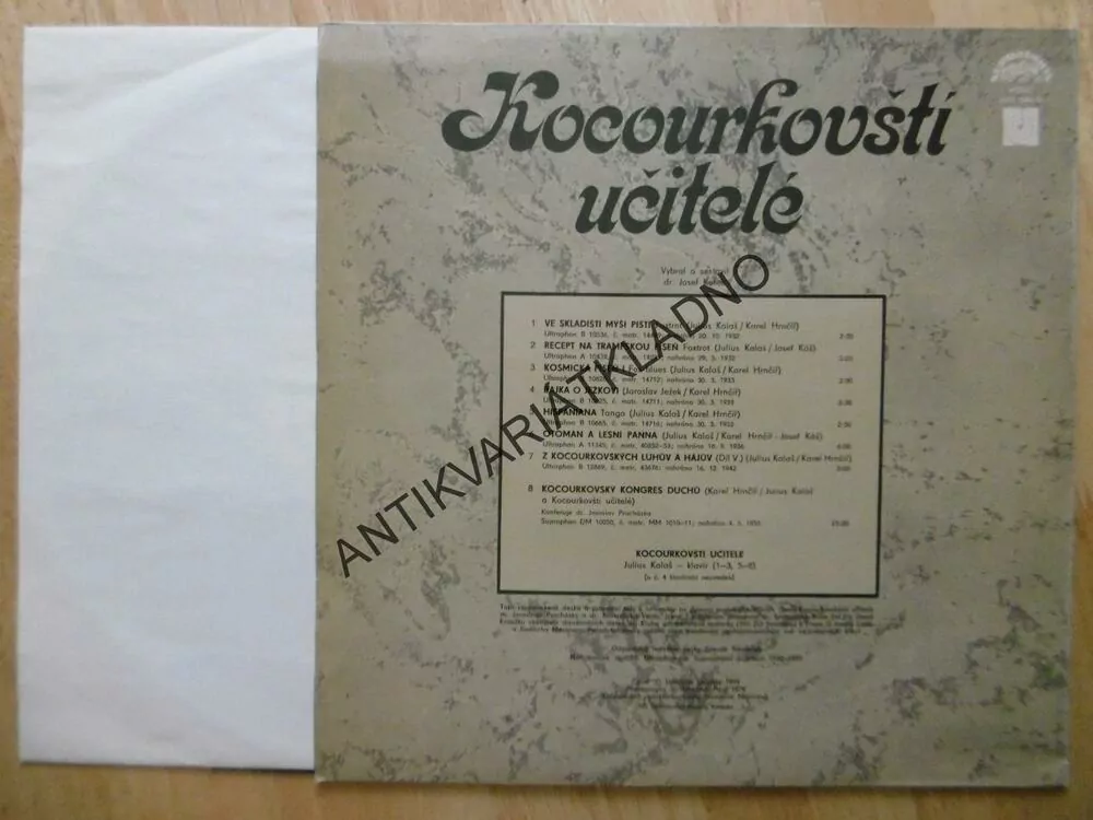 KOCOURKOVŠTÍ UČITELÉ, LP